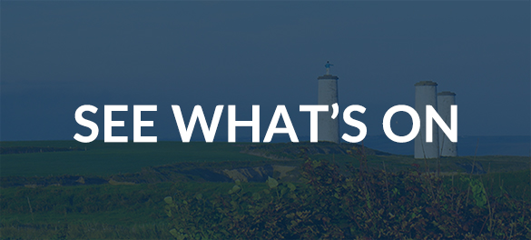see whats on tramore